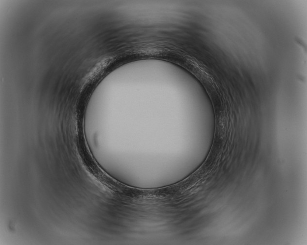 X0000090970734200708301225