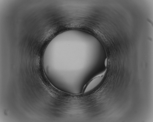 X0000090970735200708301225