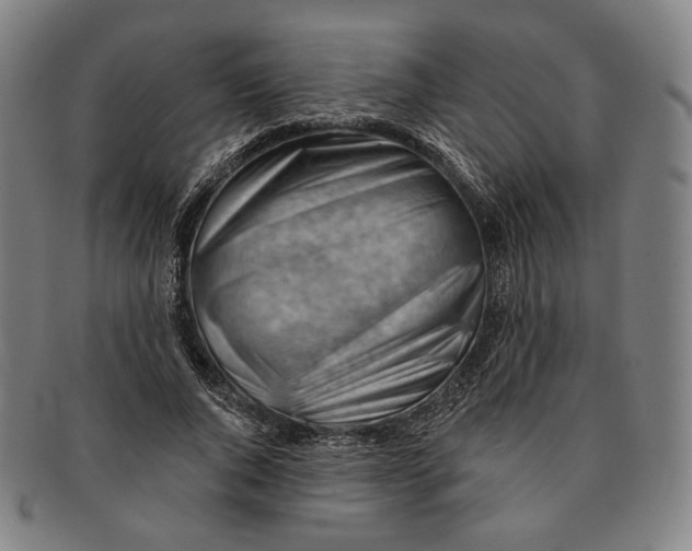 X0000090970736200708301225