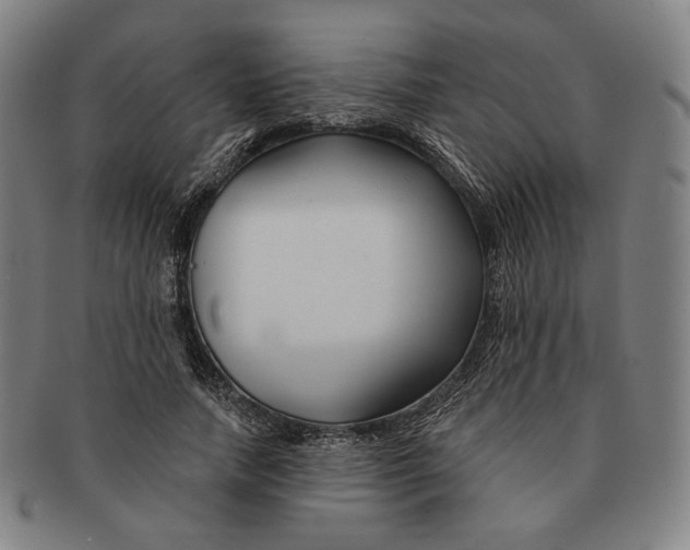 X0000090970738200708301225