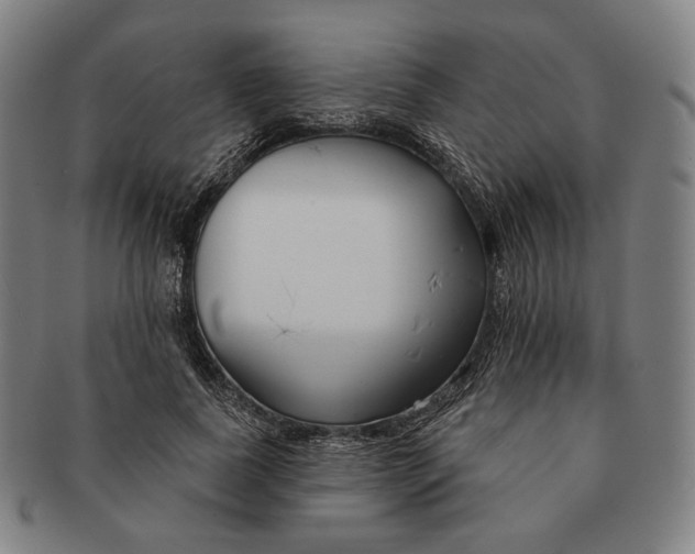 X0000090970739200708301225