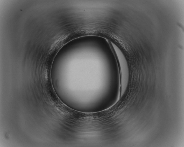 X0000090970740200708301225