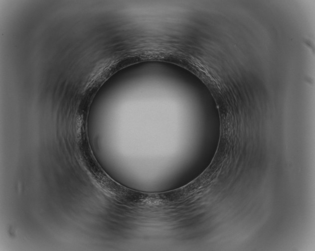 X0000090970742200708301225