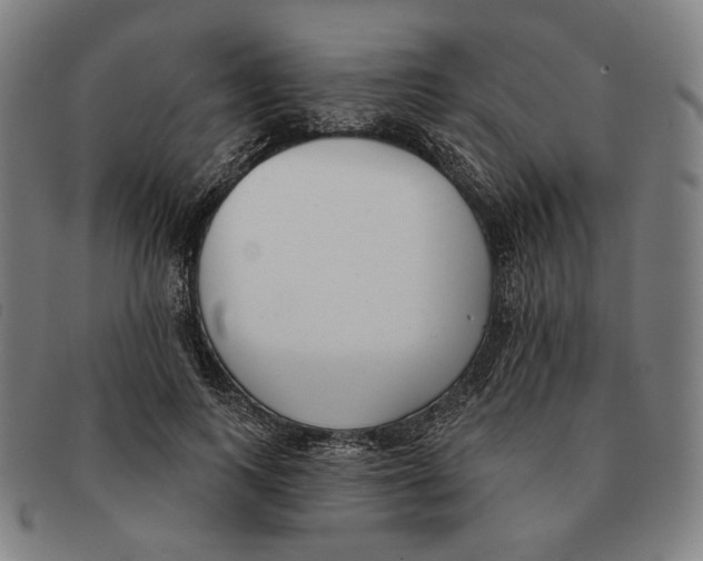 X0000090970743200708301225