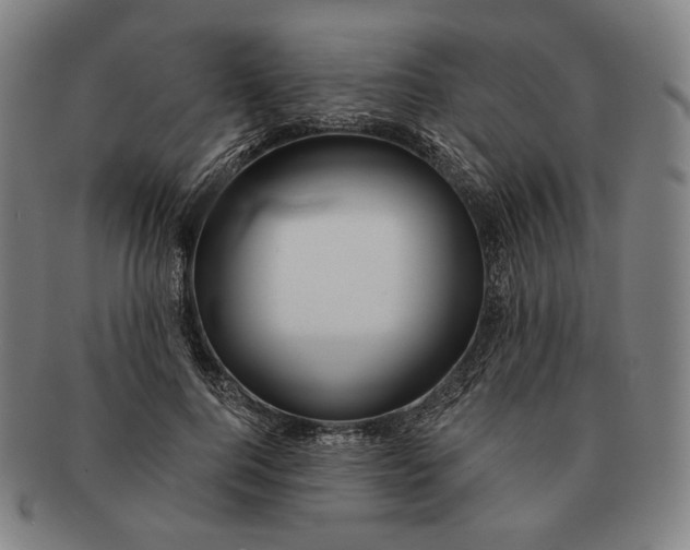 X0000090970744200708301226