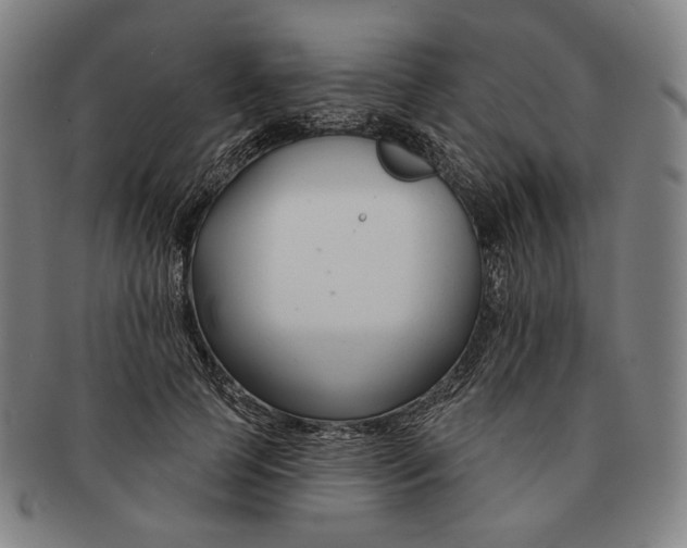 X0000090970745200708301226