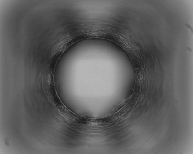 X0000090970746200708301226