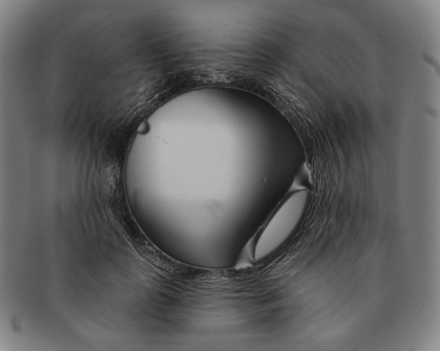 X0000090970747200708301226