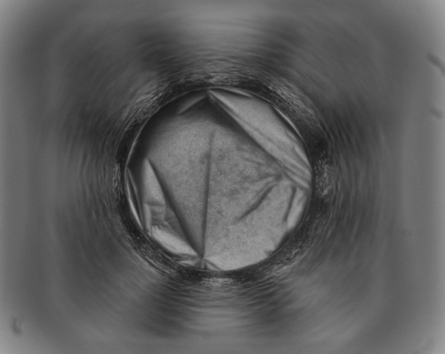 X0000090970748200708301226