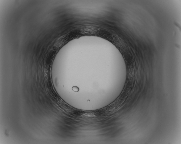 X0000090970749200708301226