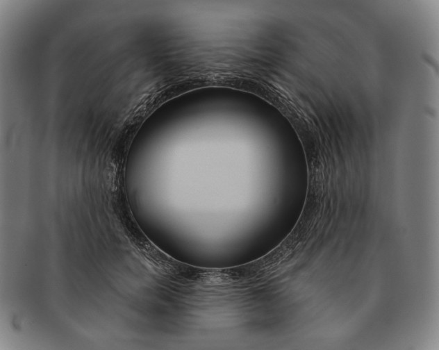X0000090970750200708301226