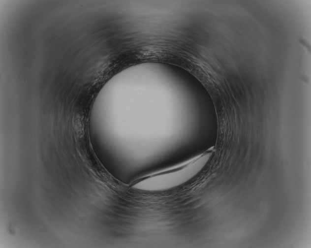 X0000090970751200708301226
