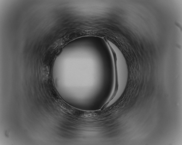 X0000090970752200708301226