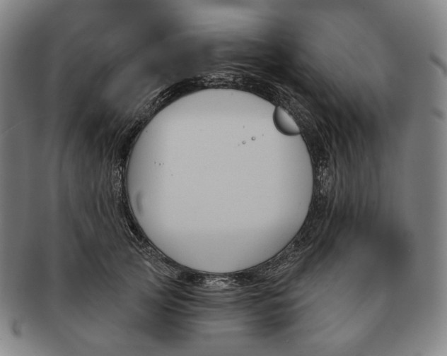 X0000090970753200708301226