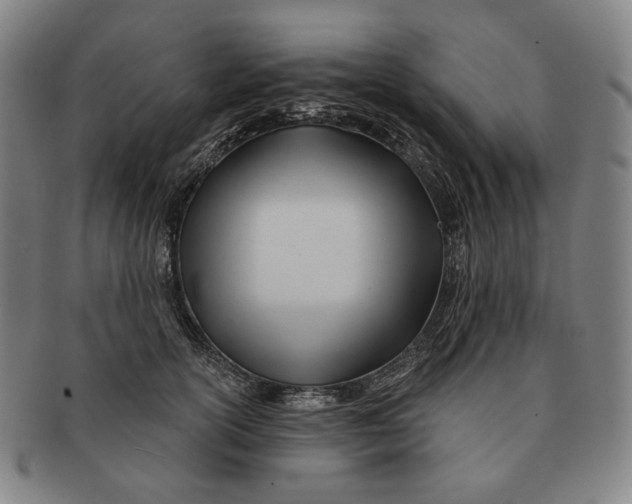 X0000090970754200708301226