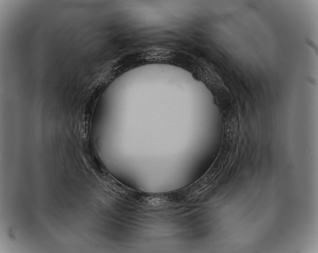 X0000090970755200708301226