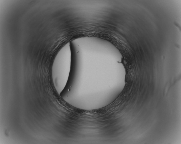 X0000090970756200708301226