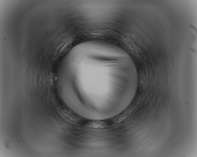 X0000090970758200708301226