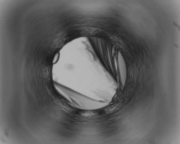 X0000090970759200708301226