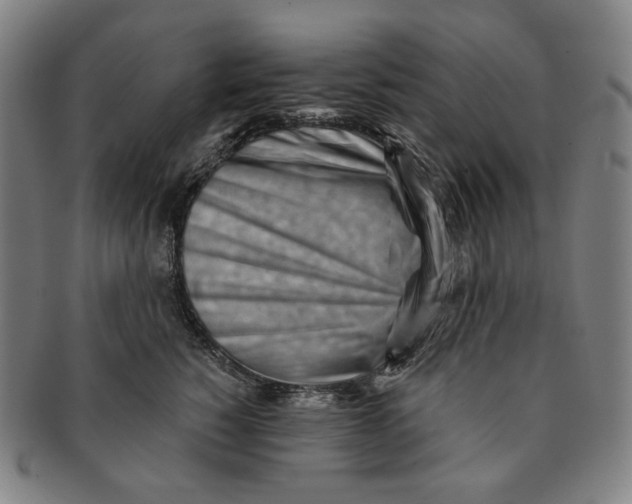 X0000090970760200708301226