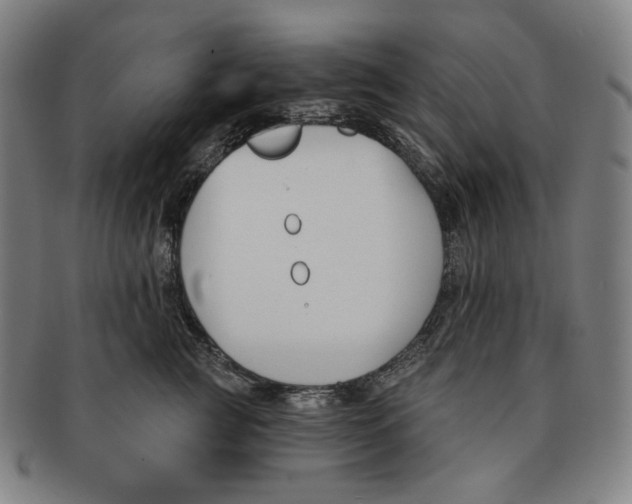 X0000090970761200708301226
