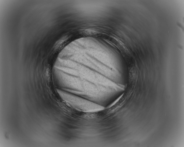 X0000090970762200708301226