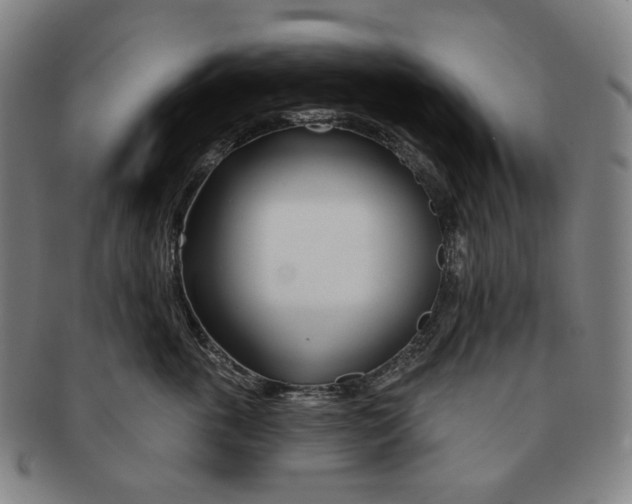 X0000090970763200708301226