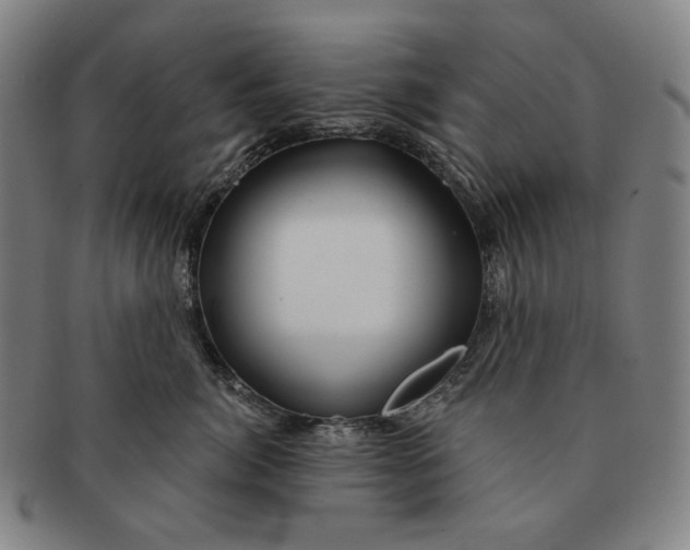 X0000090970764200708301226