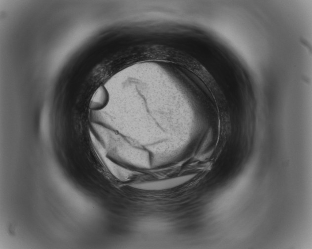 X0000090970765200708301226