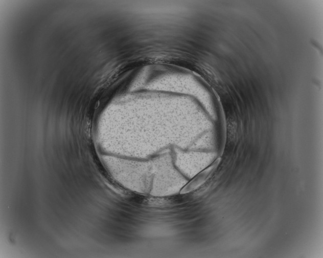 X0000090970766200708301226