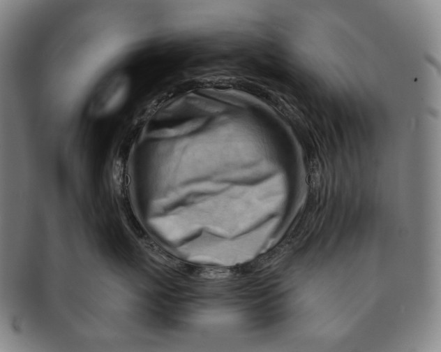 X0000090970767200708301226