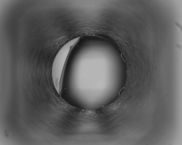 X0000090970768200708301226