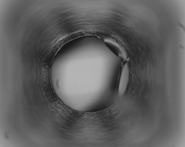 X0000090970773200708301225