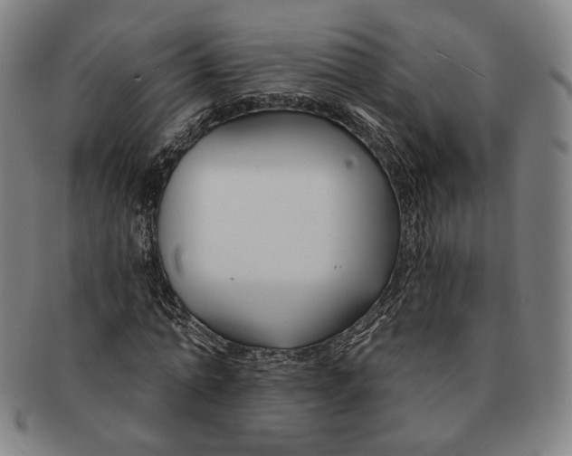 X0000090970774200708301225