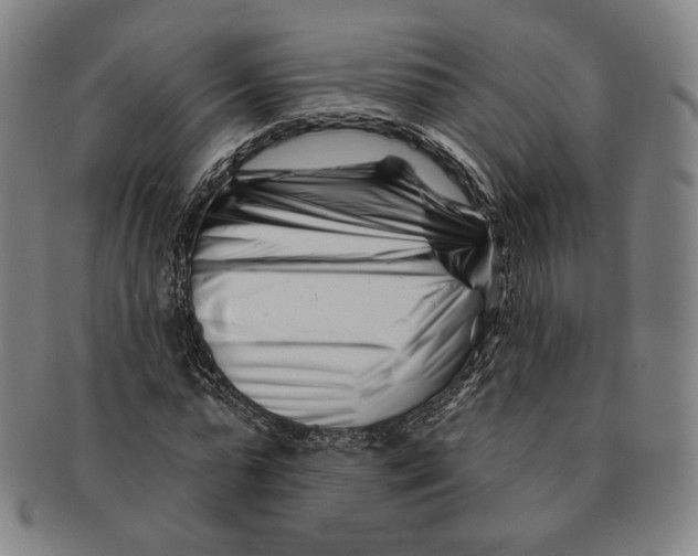 X0000090970775200708301225