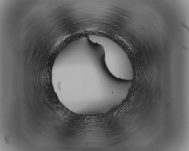 X0000090970776200708301225