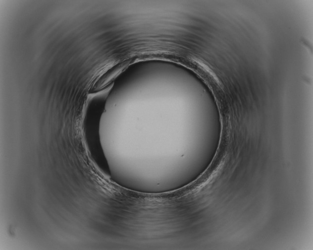 X0000090970777200708301225