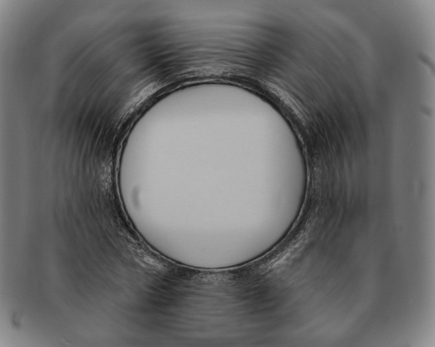 X0000090970778200708301225