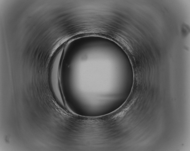 X0000090970781200708301225