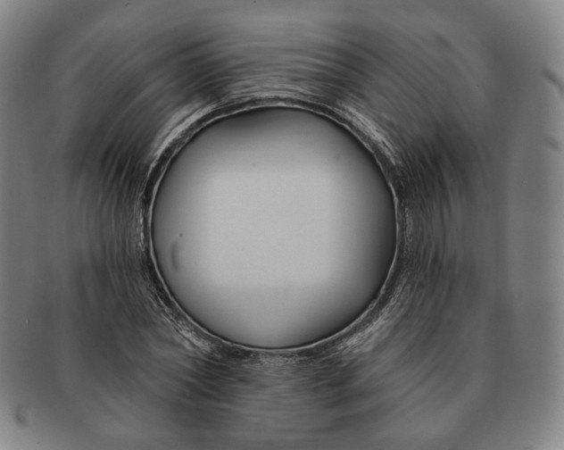 X0000090970782200708301225