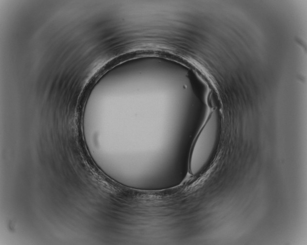 X0000090970783200708301225