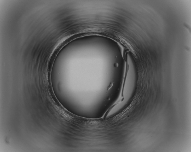 X0000090970784200708301225