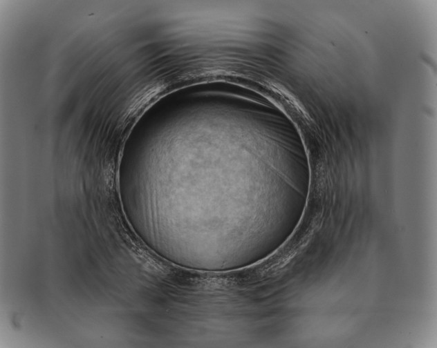 X0000090970785200708301225