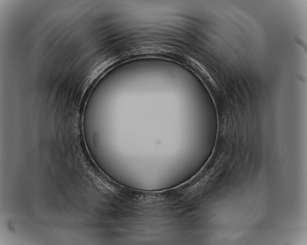 X0000090970786200708301225