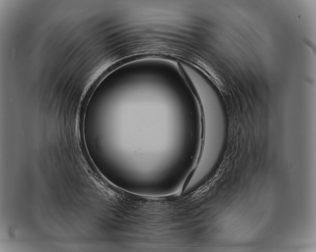 X0000090970788200708301225