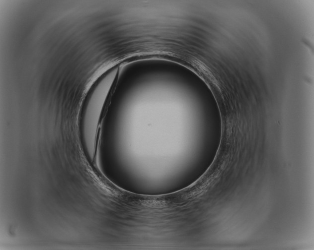 X0000090970789200708301225