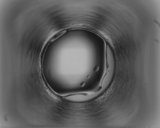 X0000090970792200708301225