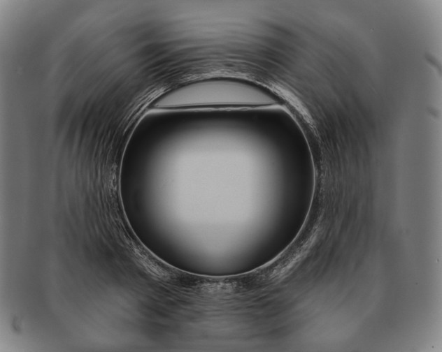 X0000090970793200708301225