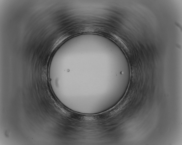 X0000090970794200708301225