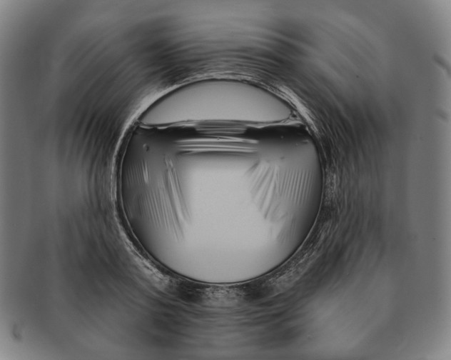 X0000090970795200708301225